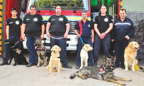 Los bomberos, con brigadas caninas