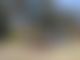 Curso para aspirantes a brigadistas de Defensa Civil