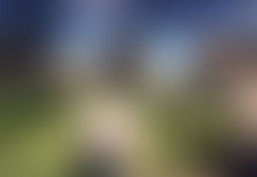 El caldenal de Winifreda, área natural protegida