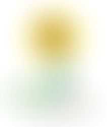 1º Feria Provincial del Libro