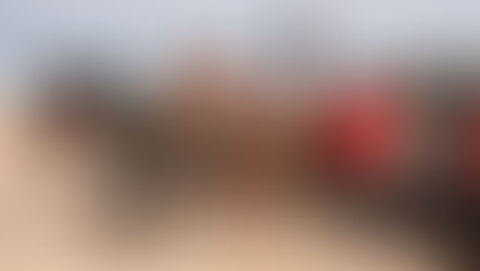 Colonia Menonita “La Nueva Esperanza”: tradición, trabajo y sabores únicos en el corazón de La Pampa