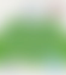 Miércoles a puro fútbol en Winifreda