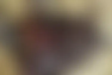 La Libertad Avanza consiguió el respaldo del radicalismo, el PRO y bloques provinciales para imponer la reforma laboral