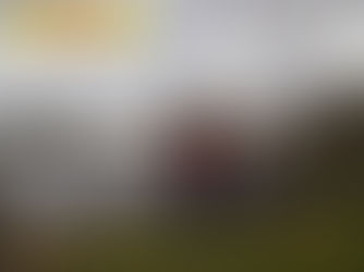 Winifreda: Notable crecimiento de la laguna de la zona rural 'El Guanaco'