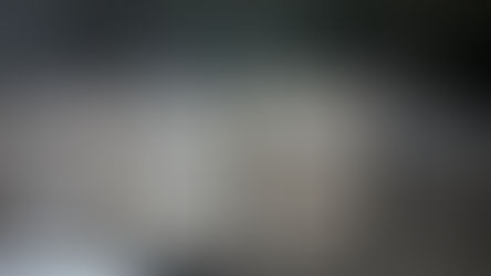 Ganadería: Cooperativistas de Mauricio Mayer vendieron lana por licitación