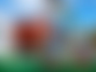 La CEW compartió sus últimas acciones y reafirmó su compromiso con la comunidad, la cooperación y la memoria colectiva