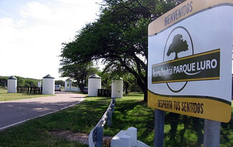 Desconocidos matan a ocho ciervos y saquean carne y astas en la Reserva Natural de Parque Luro