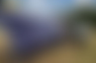 Predio rural genera su propia energía