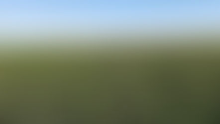 La Pampa participó en la conformación de la Mesa Nacional de alfalfa y apuesta a fortalecer la cadena productiva