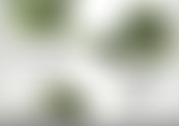 Venta de plantas en Viveros Forestales provinciales