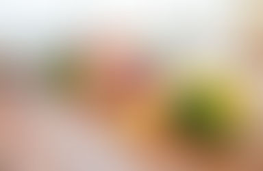 Winifredense Romina Nuñez dictará capacitación sobre manipulación higiénica de alimentos