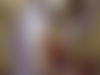 Sector apícola: empresario francés destacó la calidad genética de La Pampa