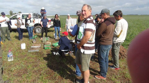 Capacitación a asesores en Planes de manejo de pasturas y cultivo del maní