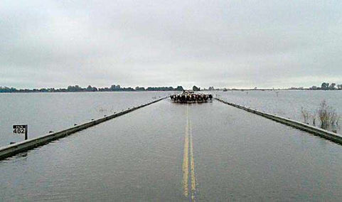 Vialidad sigue prometiendo