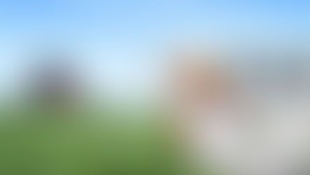 Abrieron las inscripciones para la Diplomatura en Finanzas Agropecuarias 2026: una propuesta estratégica para profesionales del sector