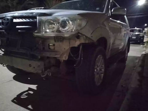 Una camioneta atropelló un chancho jabalí en la Ruta 35