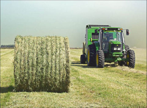 Nueva línea crediticia para maquinaria agrícola con tasa subsidiada: apoyo clave para el agro pampeano