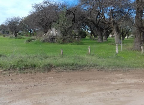 El otoño arranca con frío, que se mantendrá todo el fin de semana