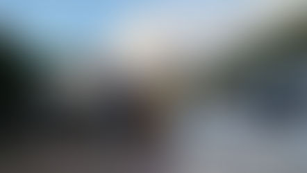 Senasa intensifica controles sanitarios en viñedos pampeanos y realizó monitoreos en Winifreda