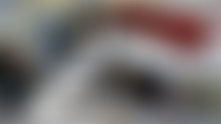 En Diputados, chicanas con los bolsos de dinero y los aportantes truchos