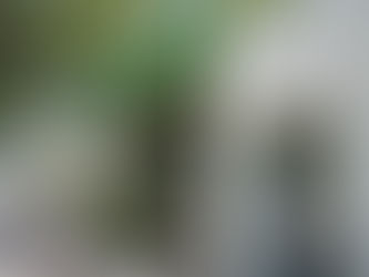 Sucursales bancarias cerrarán el lunes por el Día del Trabajador Bancario en Argentina