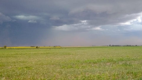 Clima: Inicio de semana con vientos y regreso de tormentas y lluvias