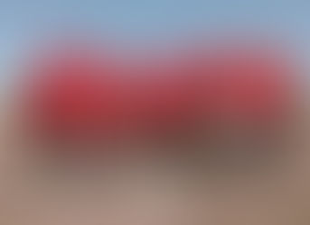 Veteranos: Informe oficial, etapa de definiciones