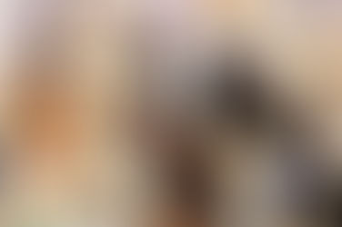 Repercusiones de la Feria Provincial del Libro