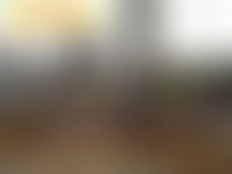 Renuevan el arbolado urbano en Winifreda