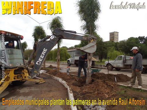 Renuevan el arbolado urbano en Winifreda