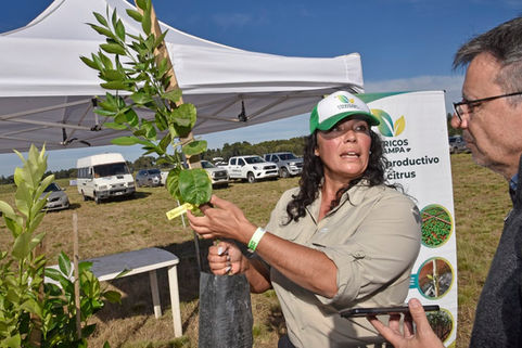 Cítricos Pampa, un hito para La Pampa en el sector citrícola nacional