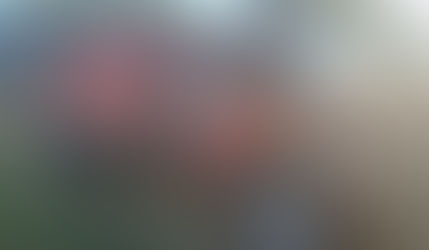 Demoran a Camionero por Maniobras Peligrosas y Estado de Intoxicación