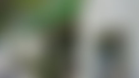 Este jueves 6 de noviembre no abrirán los bancos por el Día del Bancario: qué operaciones estarán disponibles