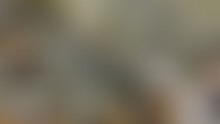 Por la mortandad de peces en las lagunas realizan muestreos bacteriológicos