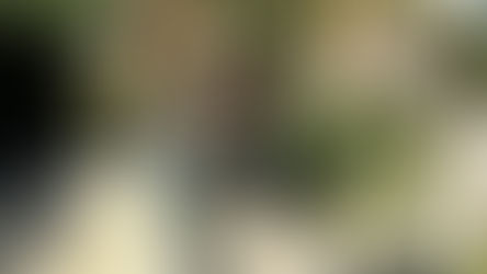 Continúa en desarrollo la Encuesta Anual de Hogares Urbanos (EAHU)