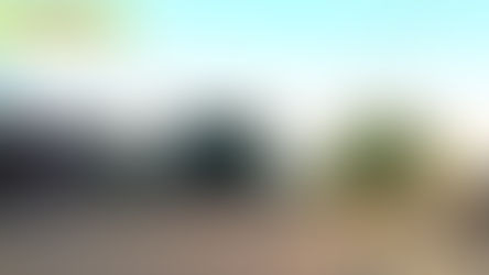 Winifreda: Inspeccionan terrenos baldíos