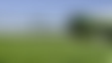 Ingeniero Agrónomo Daniel López: «Se puede producir sin químicos, perfectamente»