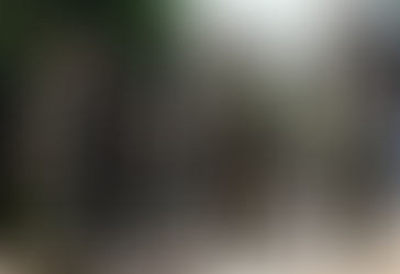 Cómo será el nuevo Servicio Cívico Voluntario impulsado por Bullrich