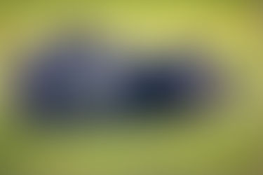 La Pampa oficializó la temporada 2026 de caza mayor de jabalí con perros y refuerza los controles sanitarios y digitales
