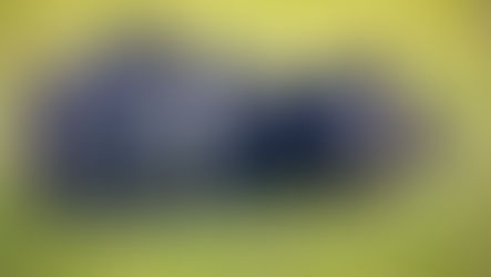 La expansión del jabalí desde La Pampa enciende alertas en el sudoeste bonaerense