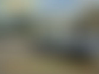 Mauricio Mayer: Dependencia amplia parque automotor