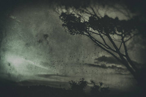 Hay alerta por vientos fuertes para ésta noche