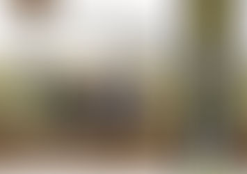 Otorgan becas para curso sobre Documental de Naturaleza