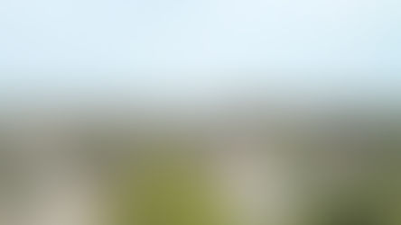 Atención: Hay alerta por vientos fuertes para Winifreda y zona