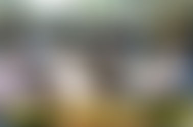 El 51% de su staff del TdeC cuenta con título universitario