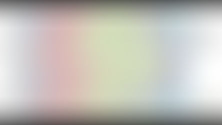 Consultora realizó una encuesta domiciliaria en Santa Rosa del mes de febrero de 2017