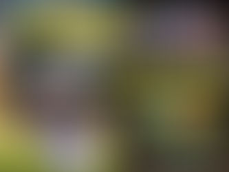 Premoldeados, Aztecas y Cable no aflojan