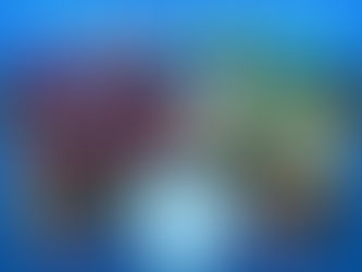 Torneo Nocturno: Gran final entre ''Don Gerónimo'' y ''Nicanora''