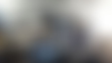 Se entregaron aportes por la Ley Nacional de Bosques