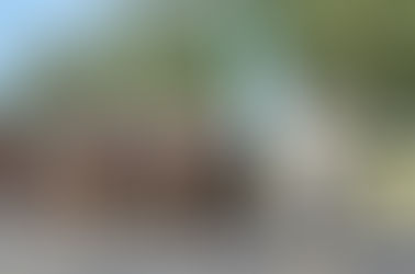 Agrupaciones gauchas reclamaron el regreso de las jineteadas